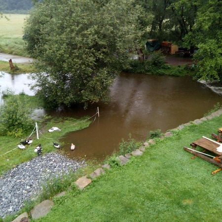 Biofarma Dolejsi Mlyn Villa Kamberk Eksteriør bilde